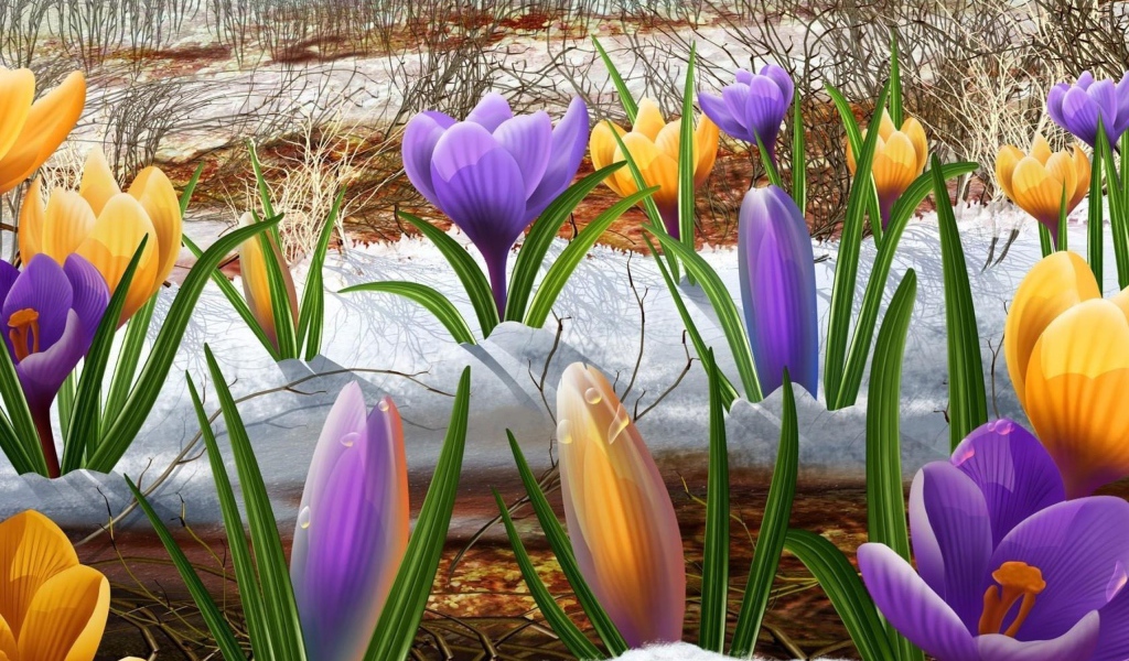 Крокусы на снегу