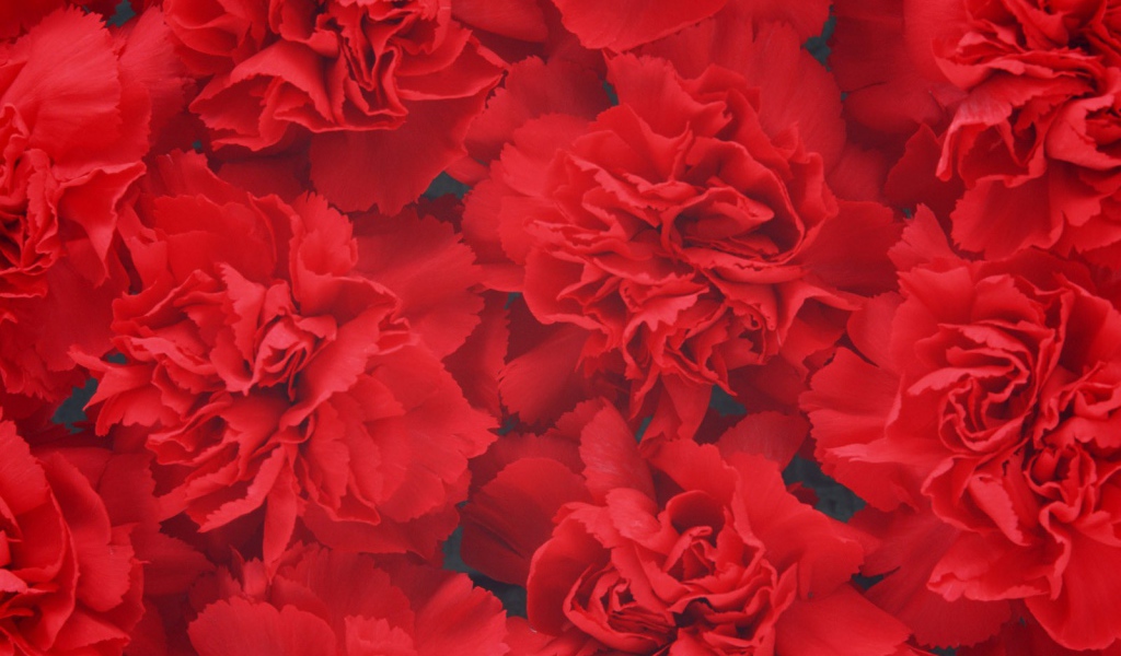 Цветочный фон