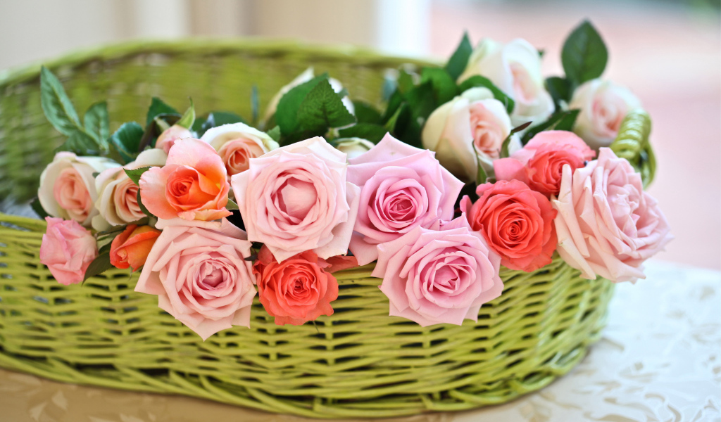 Цветы розы в корзине