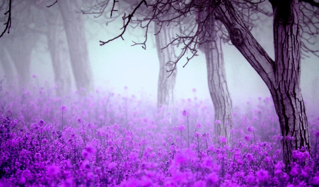 Лесные цветы