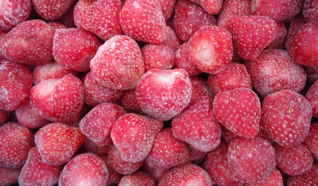 Плоды растения восковник