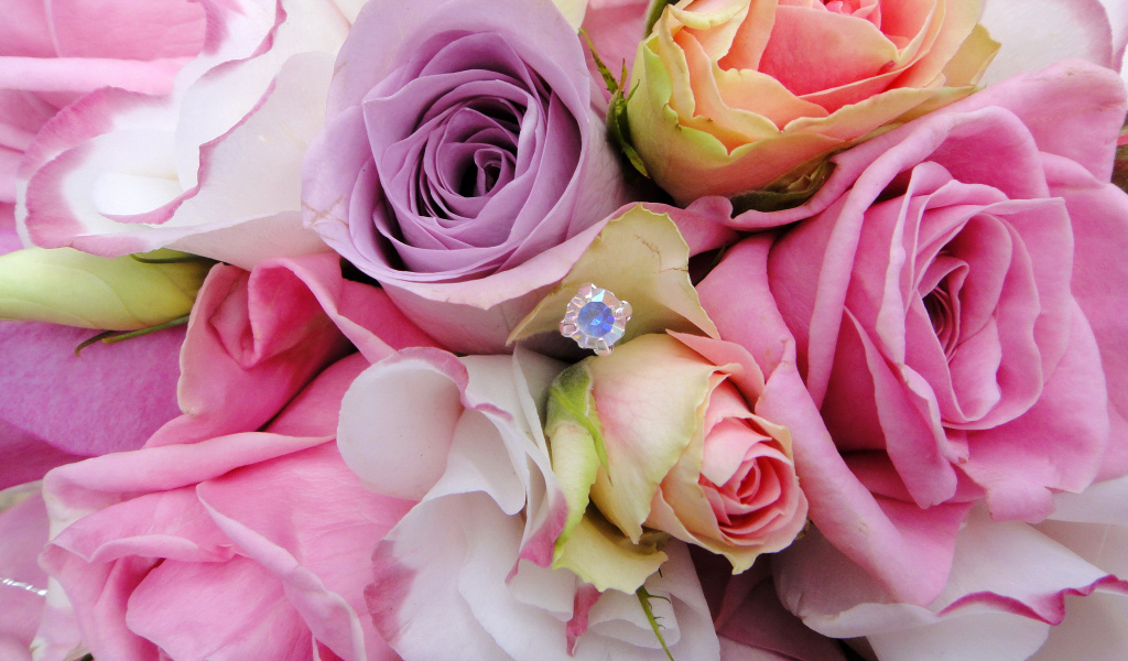 Садовые цветы эустома (ирландская роза) на дачном участке