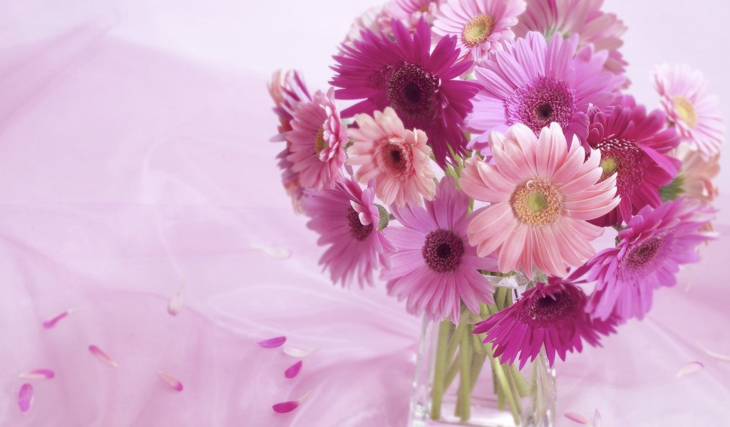 Композиция из цветов герберы 