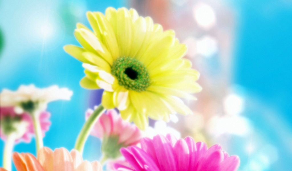 Гламурные цветы