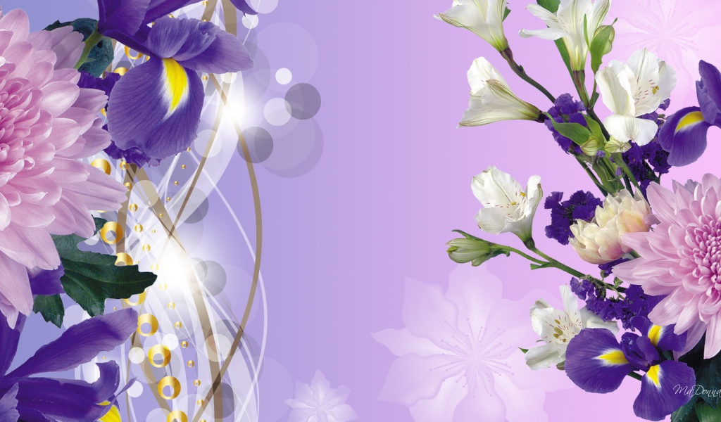 Ирисы на фоне неба