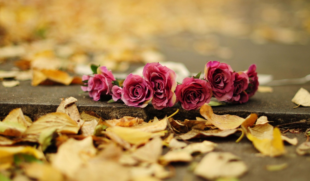 Возложеные цветы