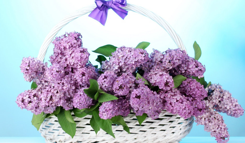Сирень в корзине