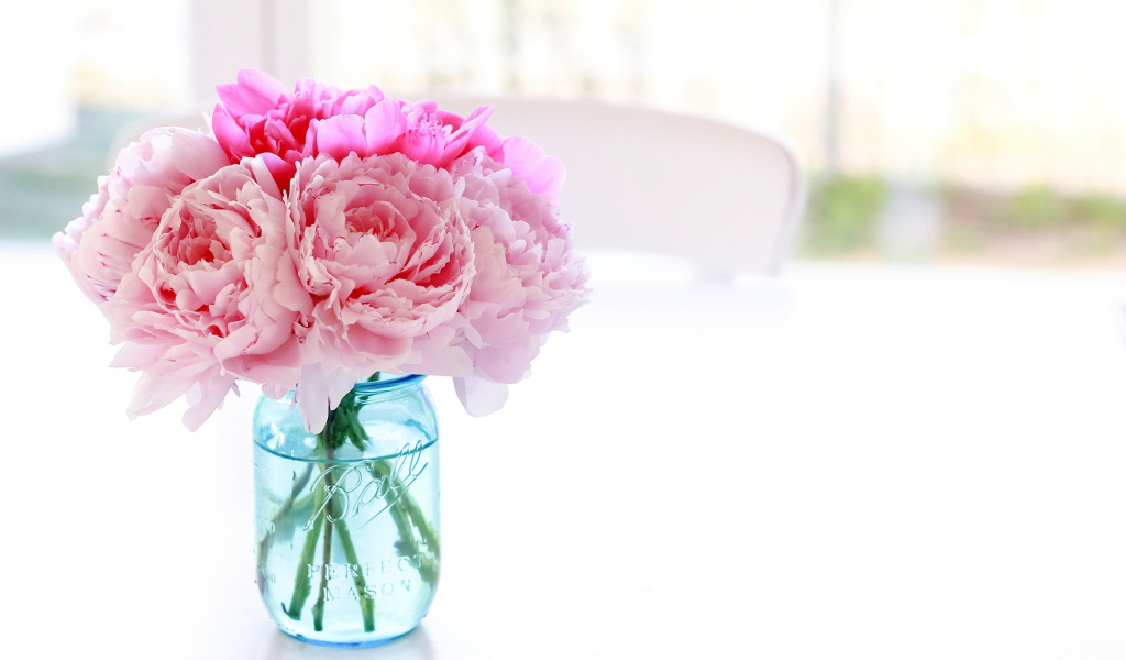 Цветы пионы в банке
