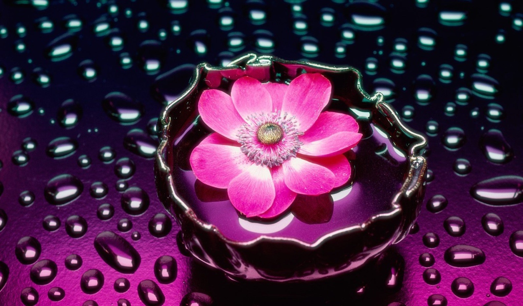 Лепестки и вода