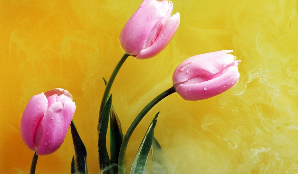 Розовые цветы в желтом дыму