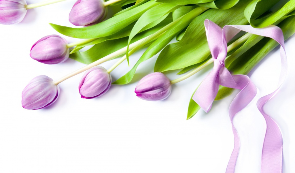 Фиолетовые цветы с бантом