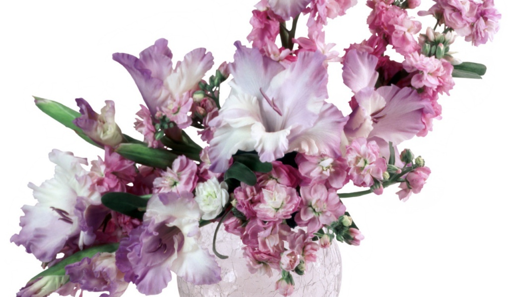 Сиреневые гладиолусы в вазе