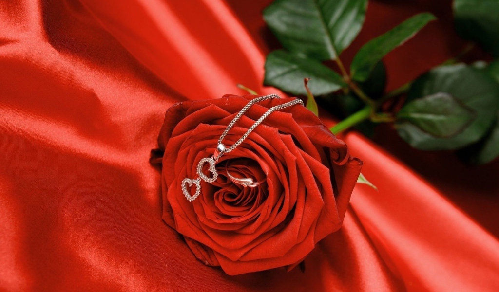 Красная роза и кулон