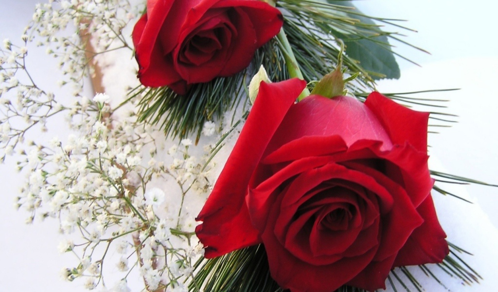 Красные розы