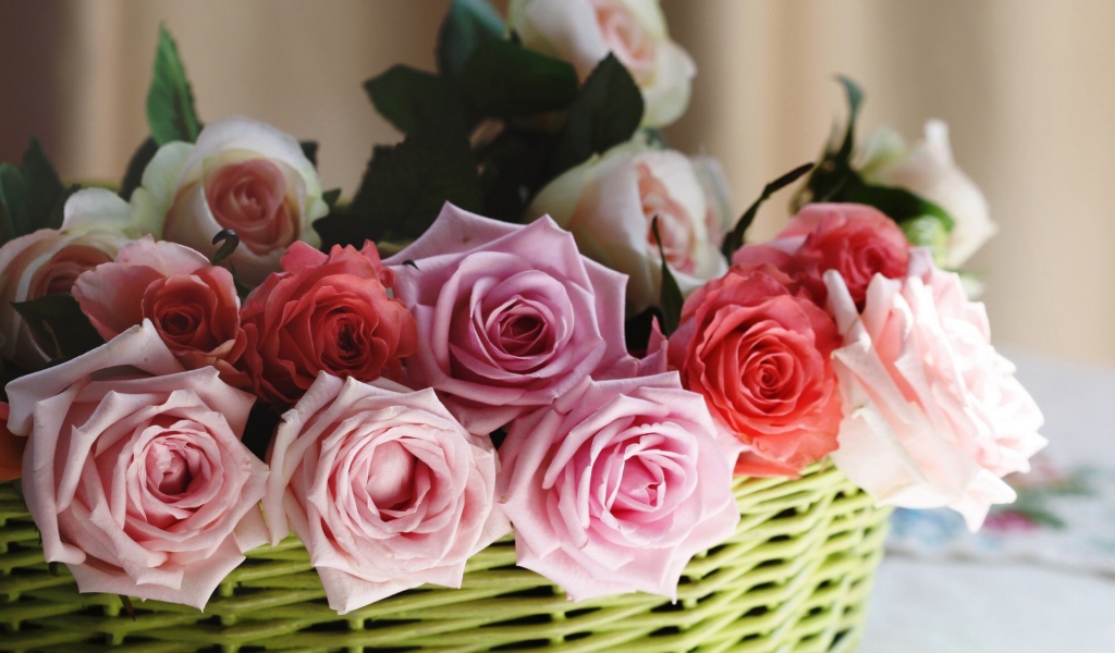 Розы в корзине