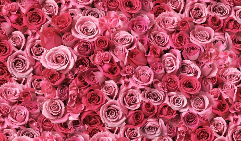 Спирали любви 