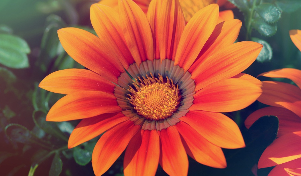 Весенняя любовь