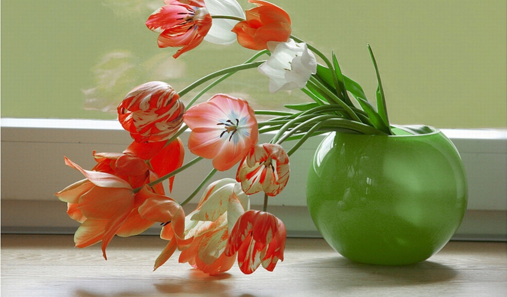 Тюльпаны у окна
