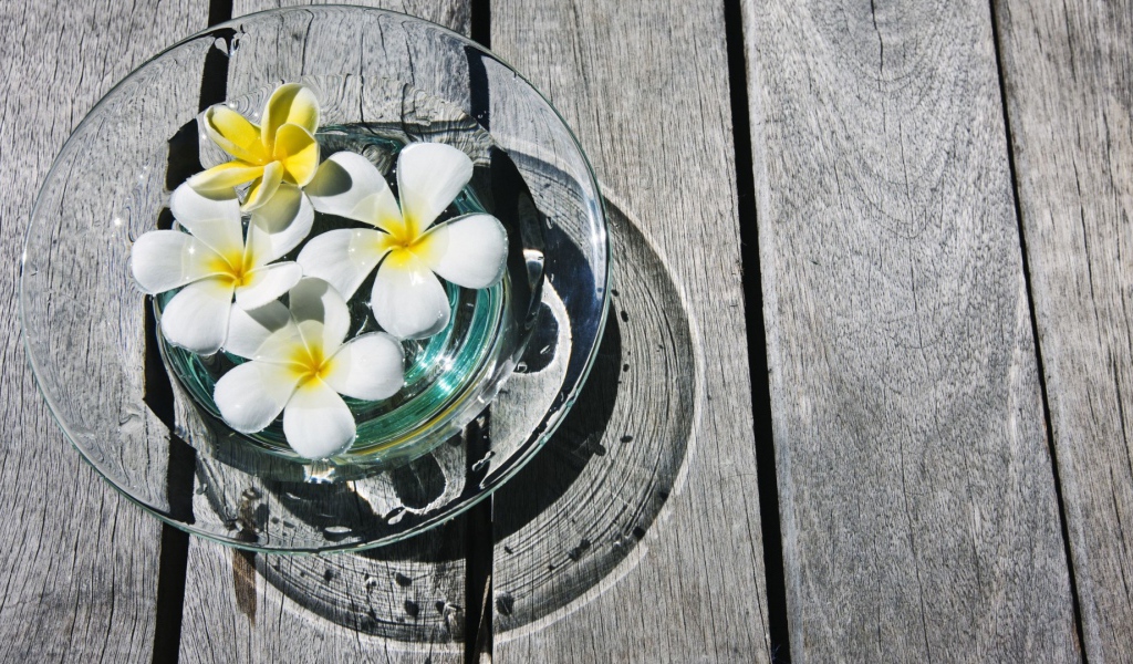 белая композиция