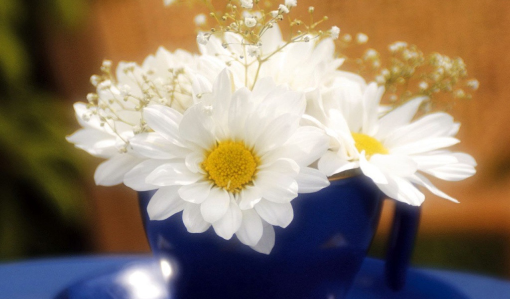 Белые светящиеся цветы