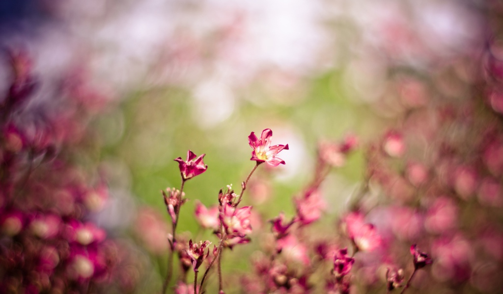 Колебания ветра