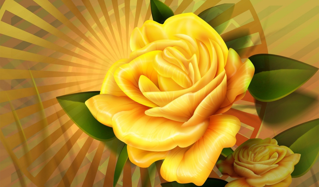 Желтая роза 