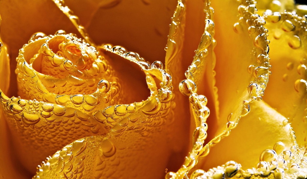 Жёлтая роза в пузырьках воздуха