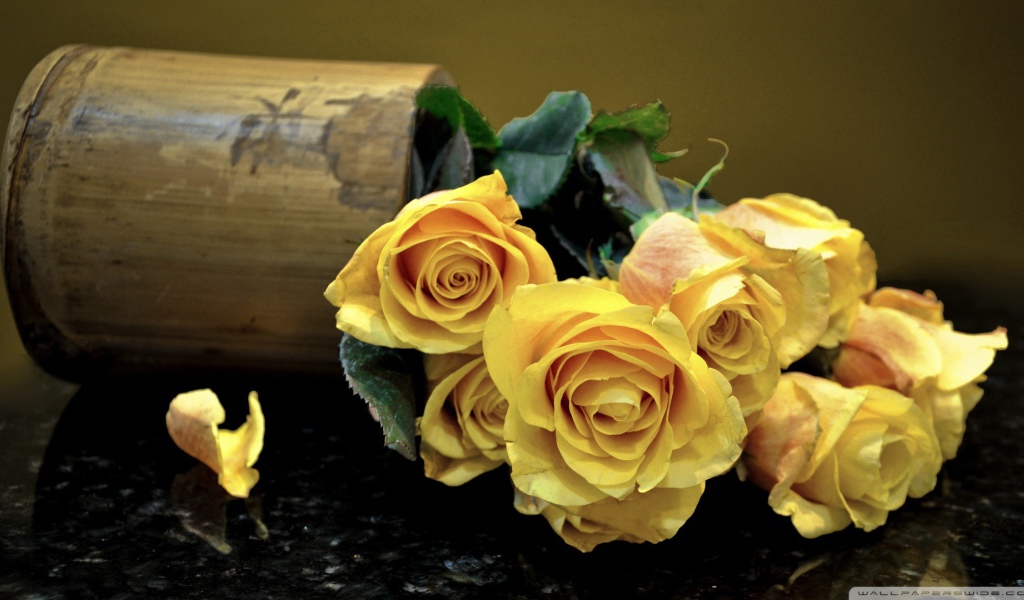 Жёлтые розы на тёмном столе