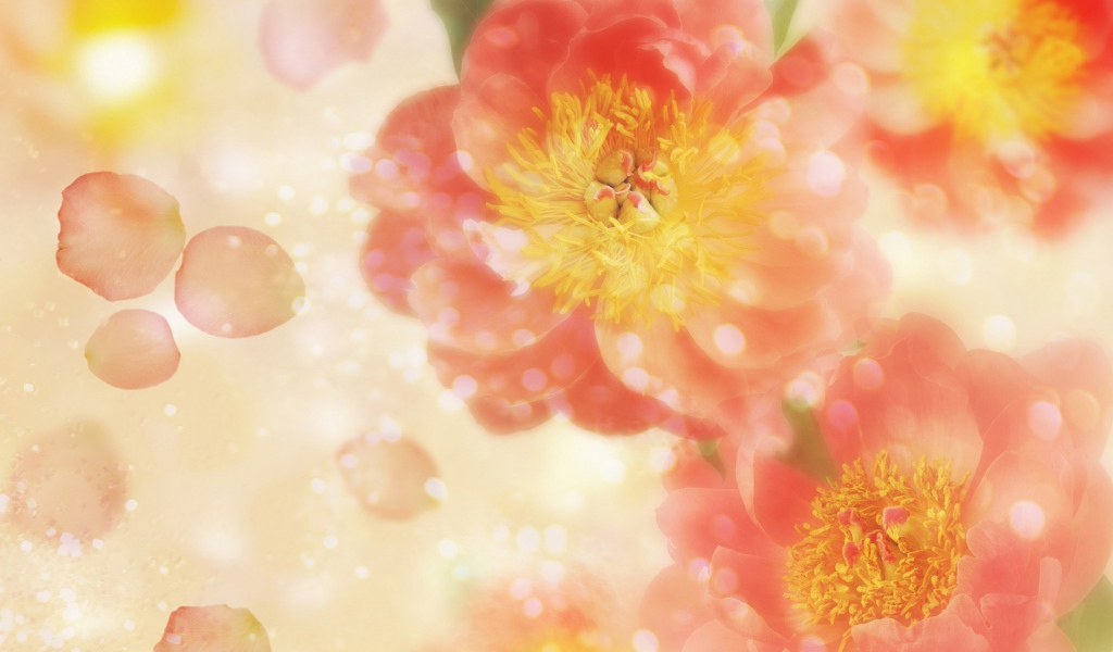 Летящие лепестки