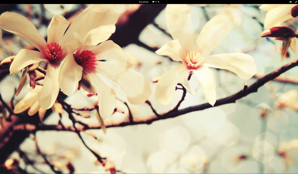 Весной цветут деревья