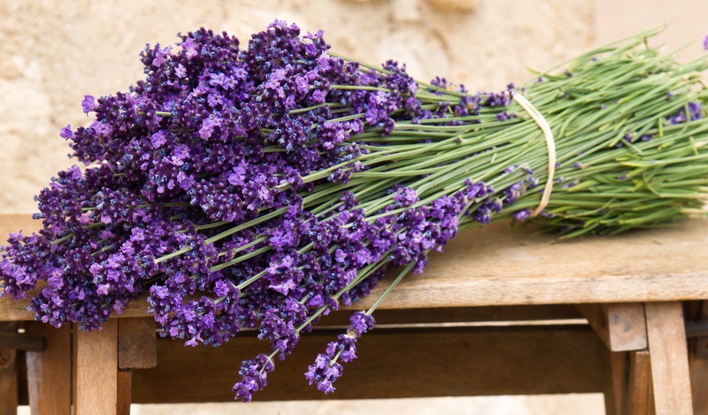 Букет лаванды на скамейке