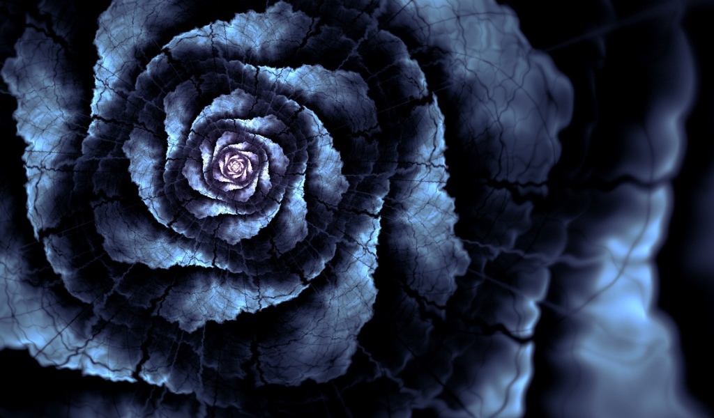 Абстрактный цветок роза