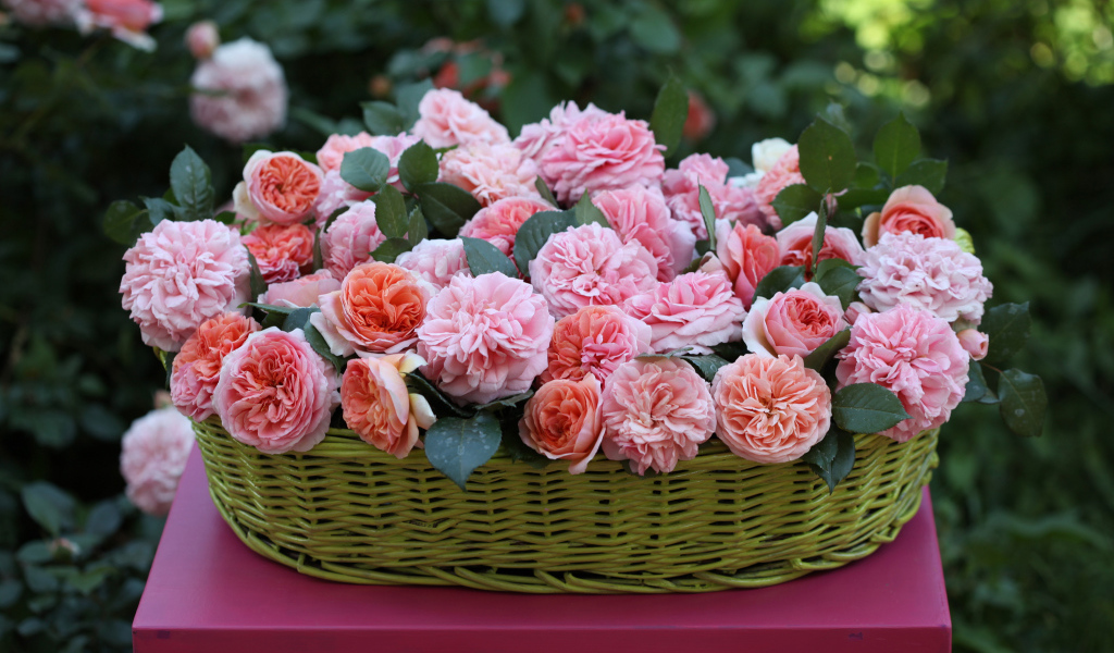 Цветы в зеленой корзине