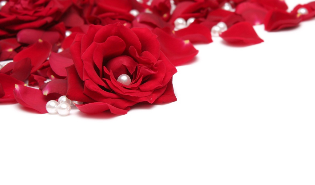Розы и жемчуг