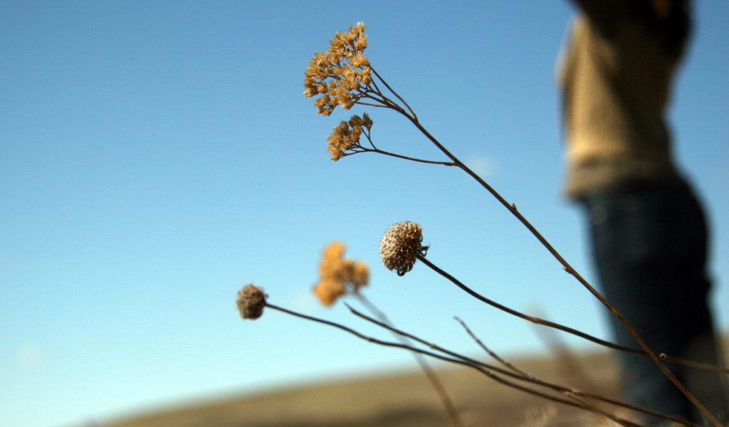 Силуэт девушки