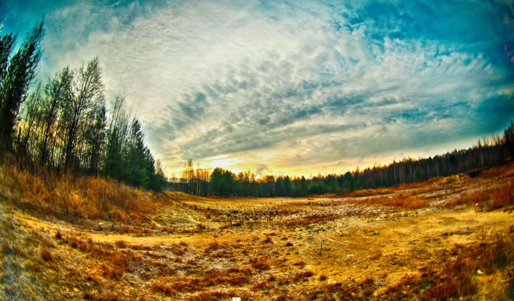 Просека в лесу