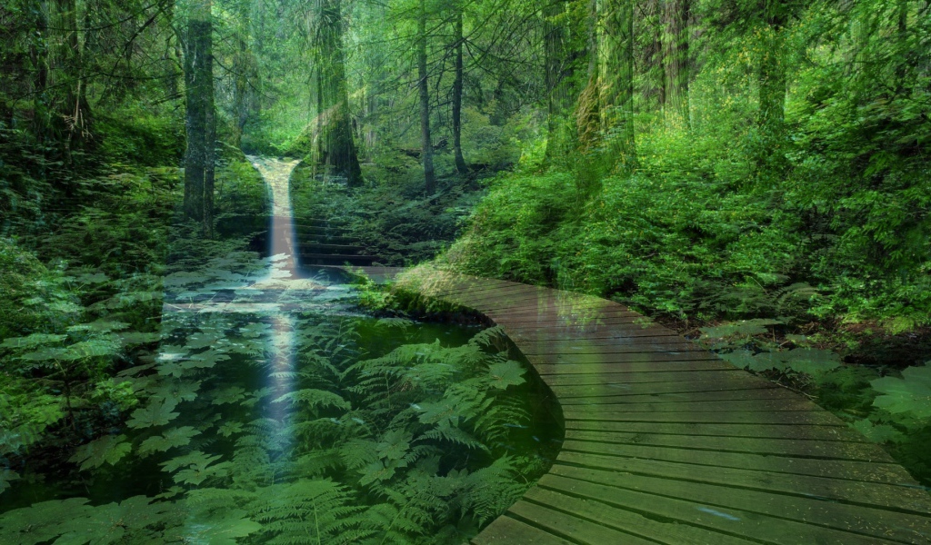 Лесной пейзаж с водопадом