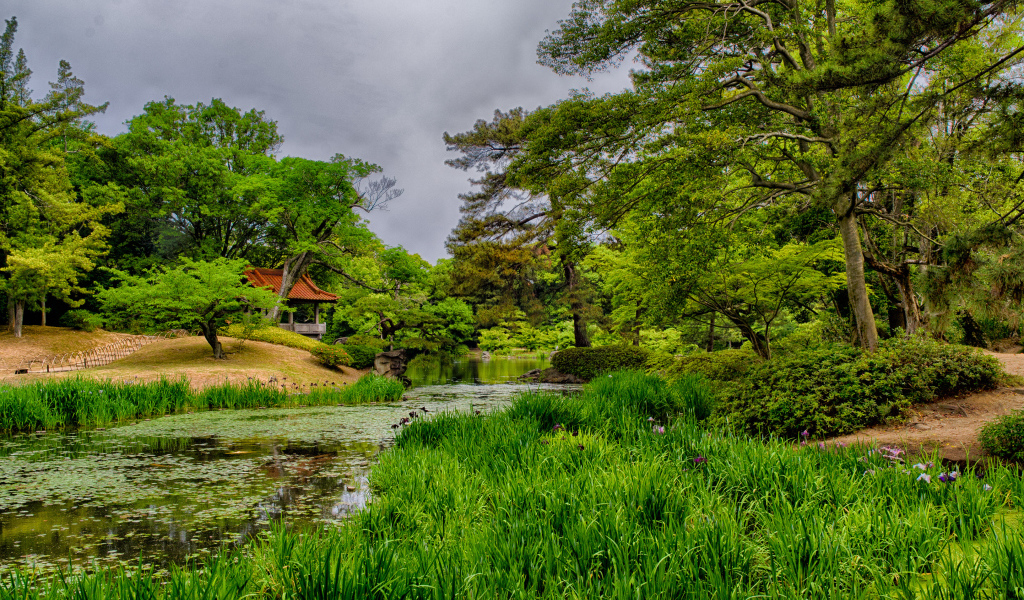 Домик в лесу