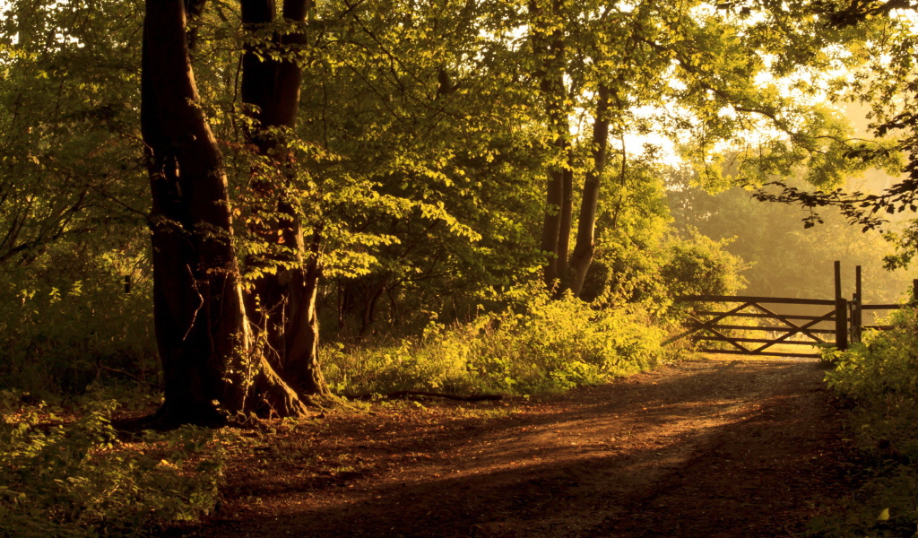 Забор на дороге