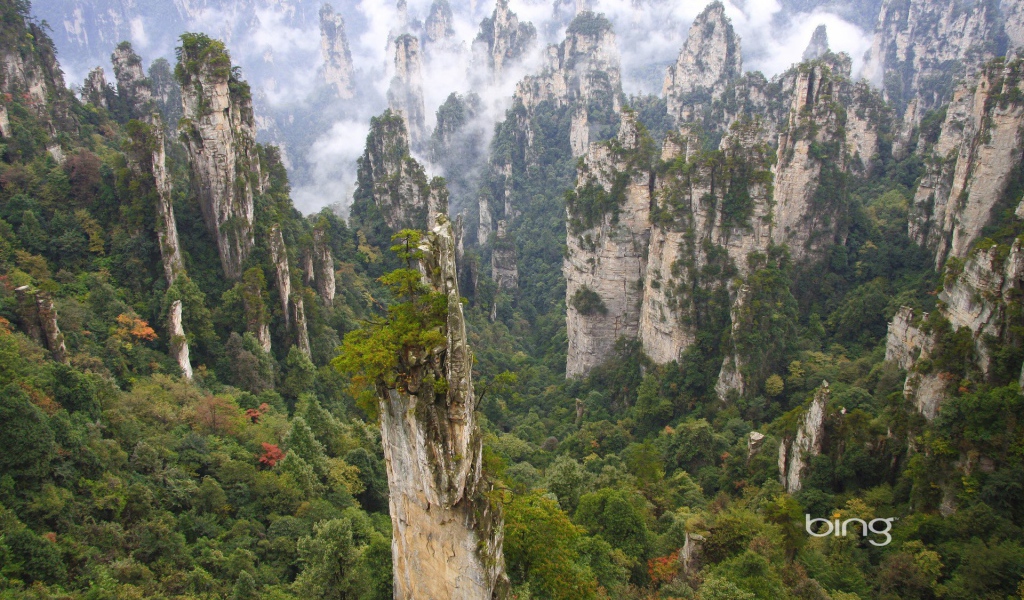 Лес на каменных столбах