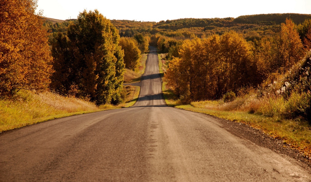 Пейзаж у дороги