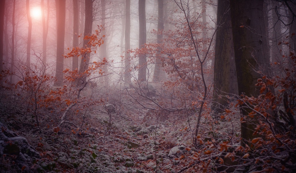 Поздняя осень