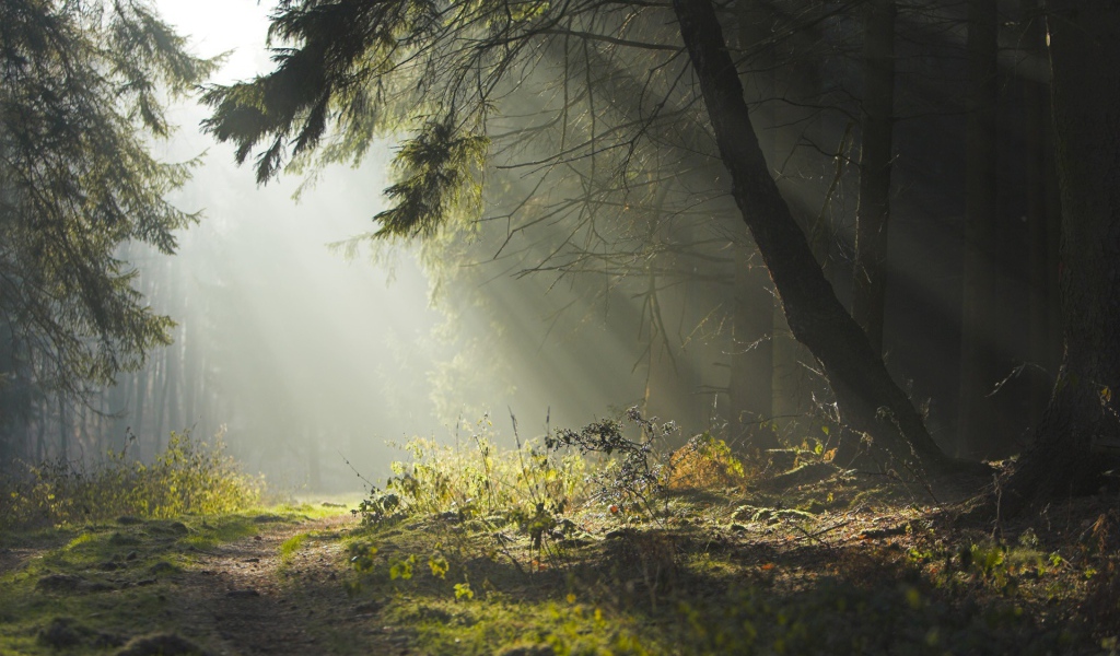 Шведский пейзаж