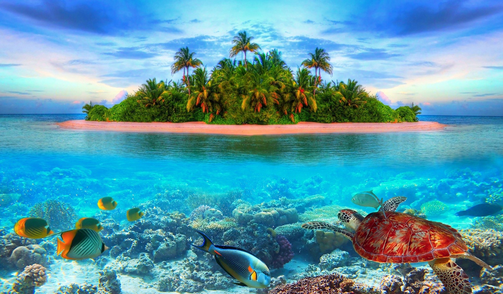 Остров в тропиках