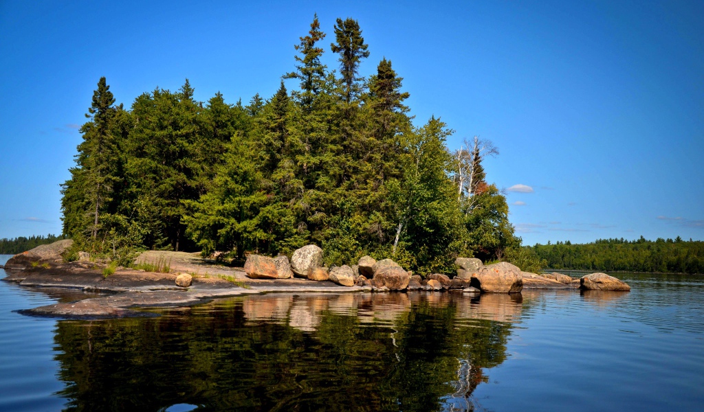 Поросший лесом остров
