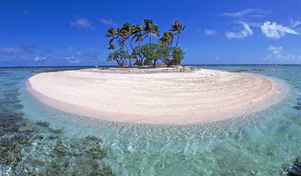Маленький остров с деревьями