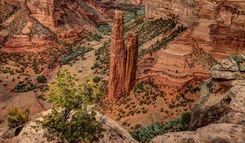 Каньон в США