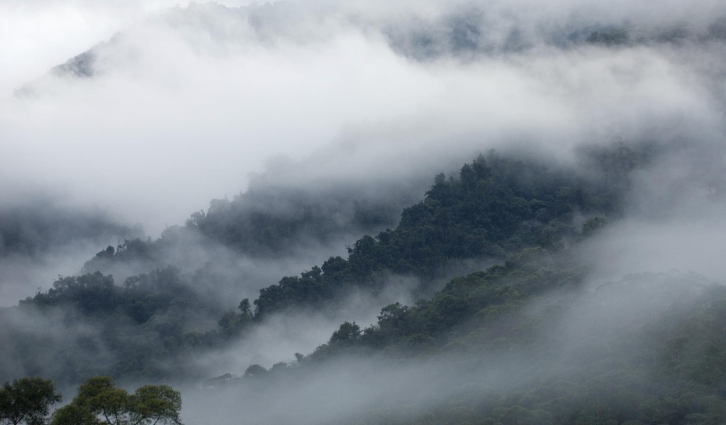 Эквадорские туманы в горах