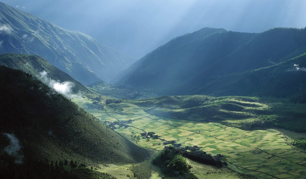 Поле в долине