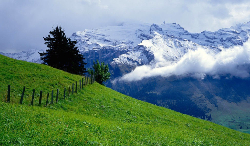 Зеленый луг и снежные горы